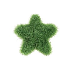 Textured Poly Feely Stars Pkt of 5